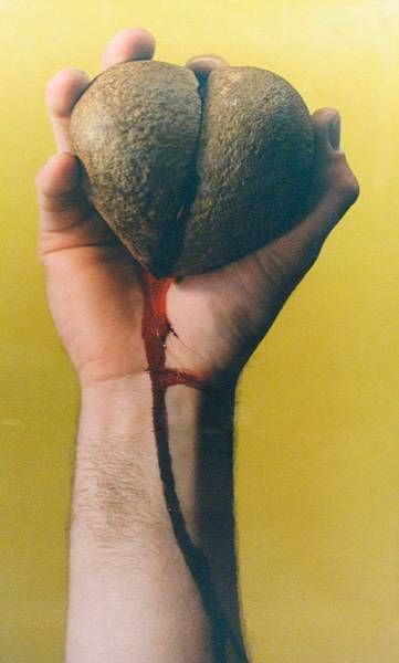 Corazon Sangriento, 1994