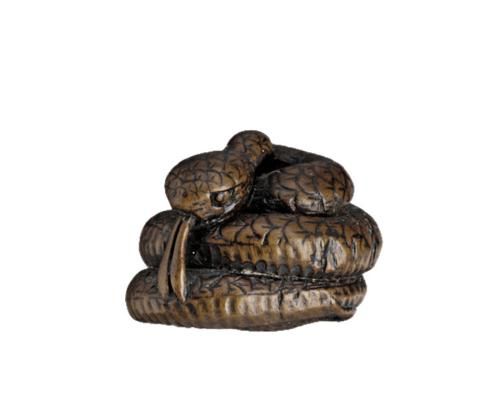 A COILED SNAKE