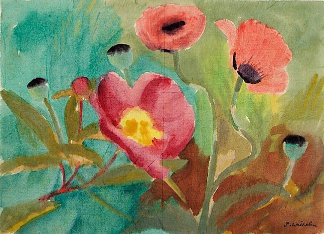 Klatschmohn.
