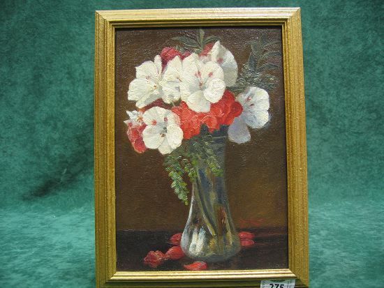 Palagoniums