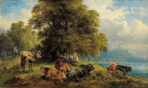 Cows at Rest