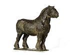 PAARD