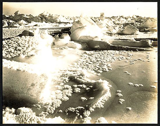 The ice hath its flowers