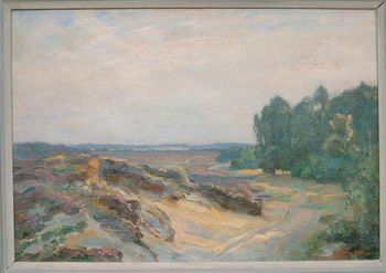 Heidelandschap
