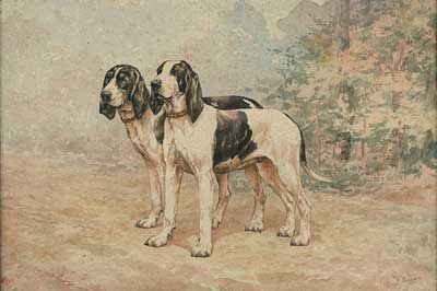 Deux chiens noirs et blancs