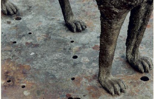 Bronze Wolf, 2000