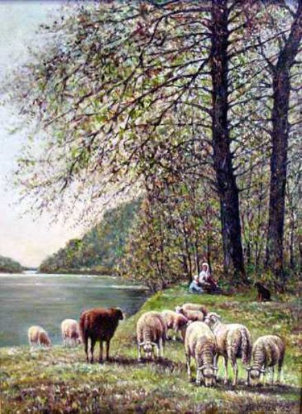 Schafherde in sommerlicher Landschaft