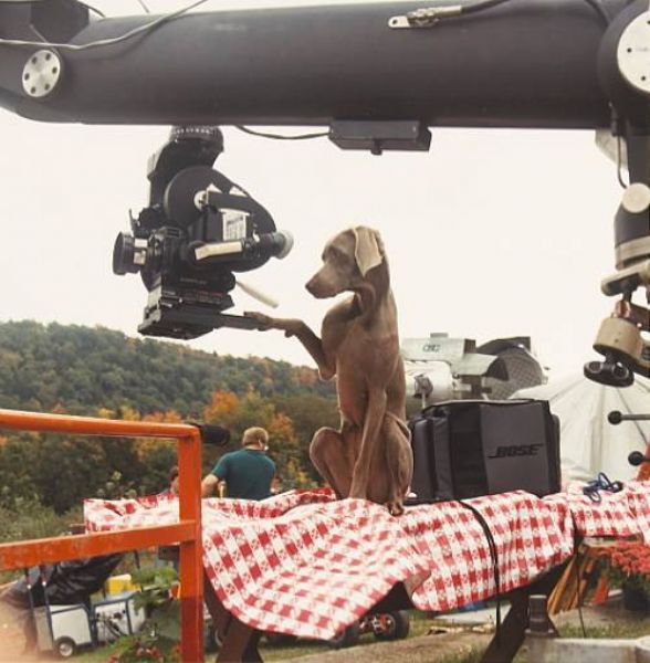 Camera Operator