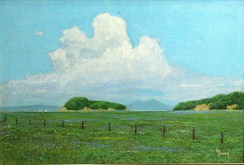 Open fields along the coast