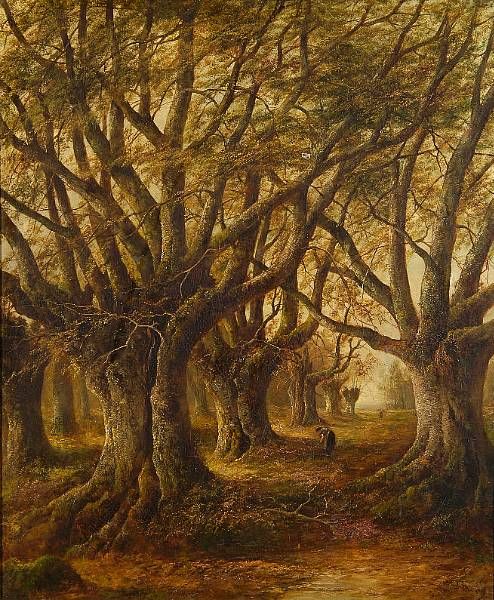 Burnham Beeches