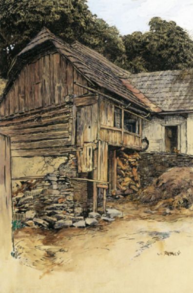A yard and a barn