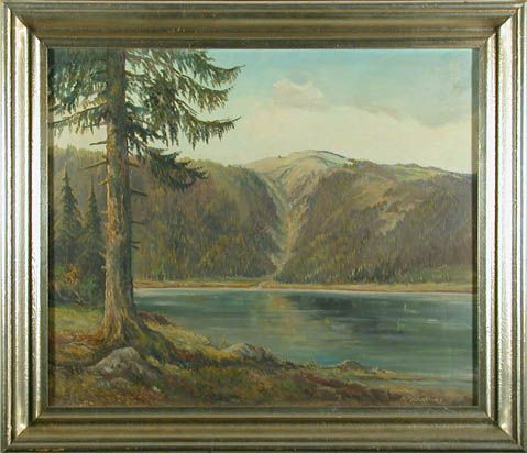 Blick auf den Feldsee, im Hintergrund der Feldberg