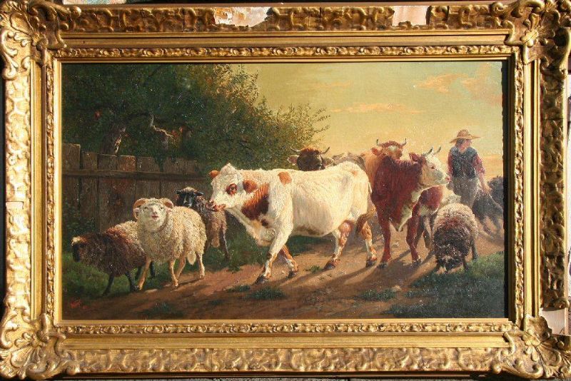 Bringing the Sheep & Cattle Home