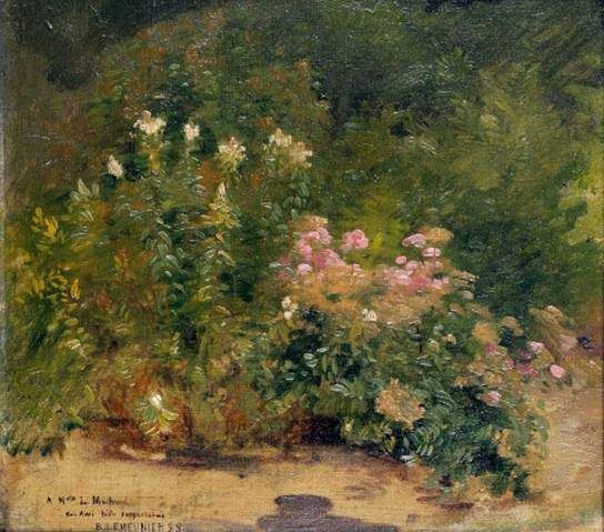 Fleurs au jardin