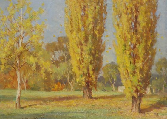 Golden Poplars