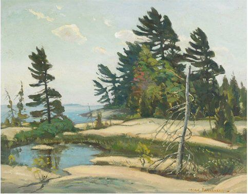 WINDSWEPT TREES BY THE WATER