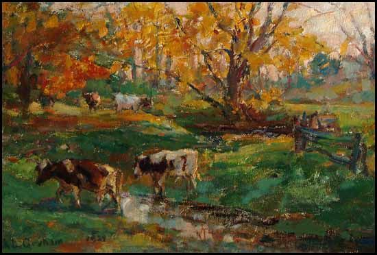 Grazing Cows