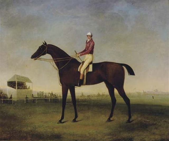 Portrait of a jockey on his horse