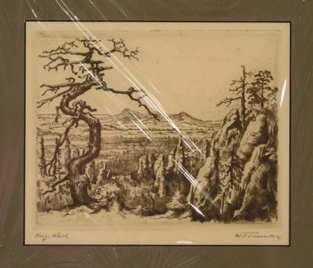 "Bizarre Felslandschaft"