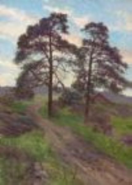 Landevei