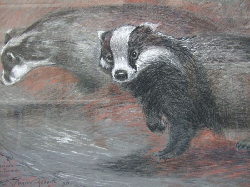 Badgers in Moonlight