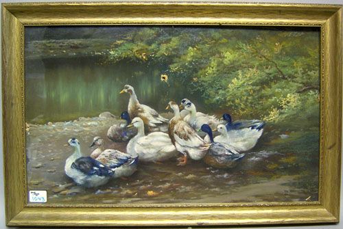 landscape with ducks