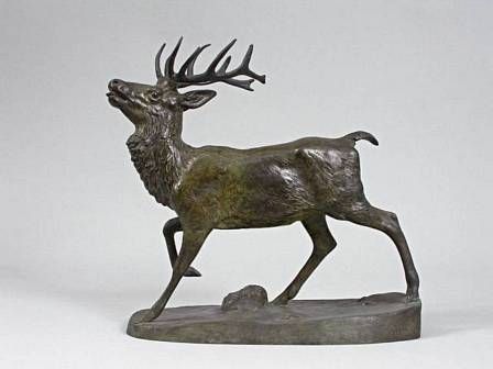 CERF DEBOUT