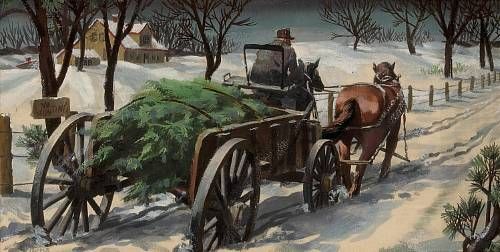 Bringing Home the Christmas Tree
