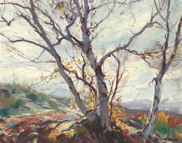 Birches on a Hill