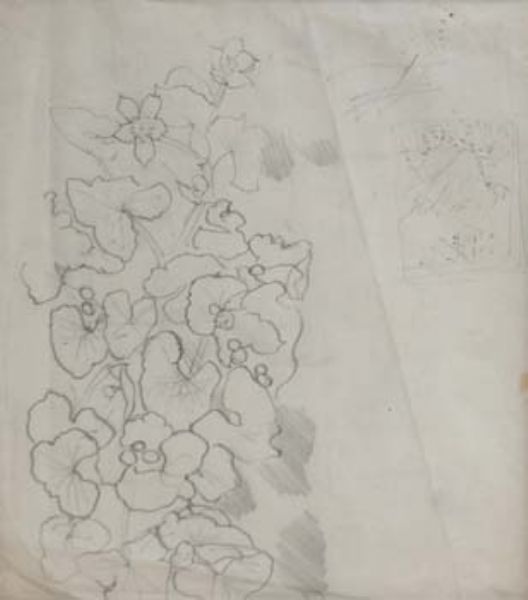 Floral study