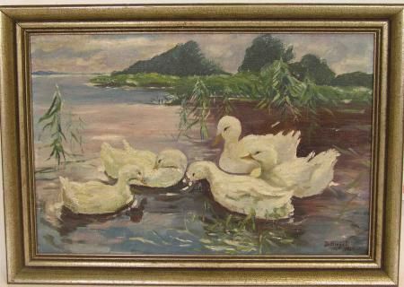 Enten am Teich