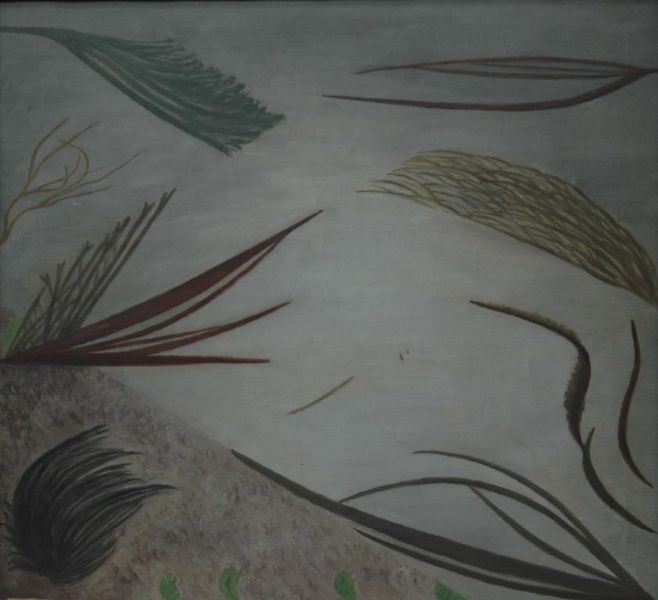 Seaweed