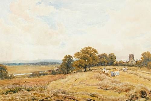 Harvest scene