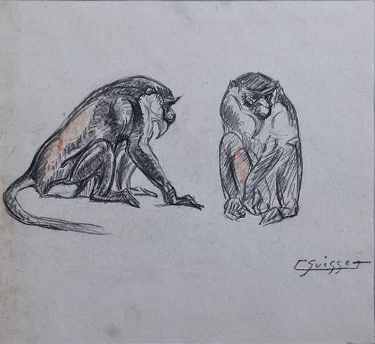 «Certopithèques de moustac»
