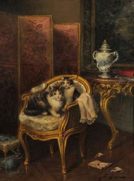Chatons dans un intérieur