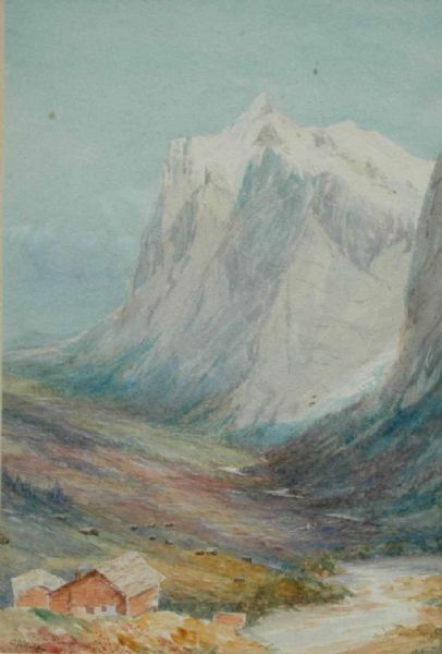 An Alpine view
