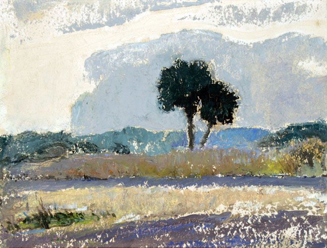 untitled landscape