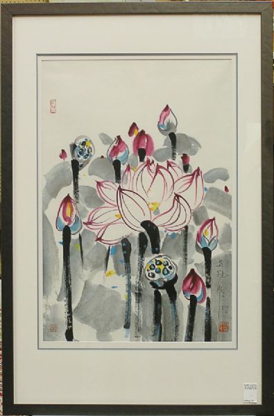 Flowering Lotus