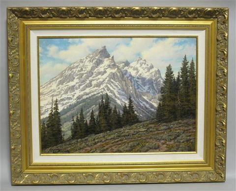SNOW CAPPED MOUNTAIN