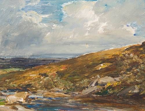 The Stream, Belstone, Devon