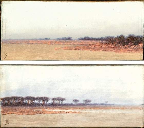 Deux vues de Camargue