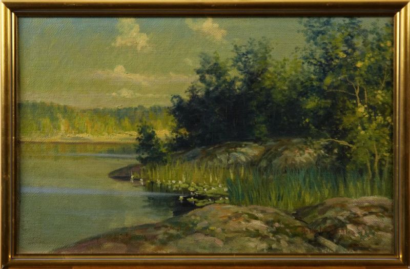 Insjölandskap