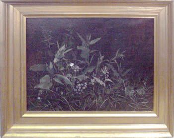 Still Life