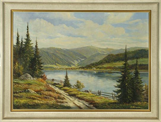 Blick auf den Titisee, im Hintergrund der Feldberg