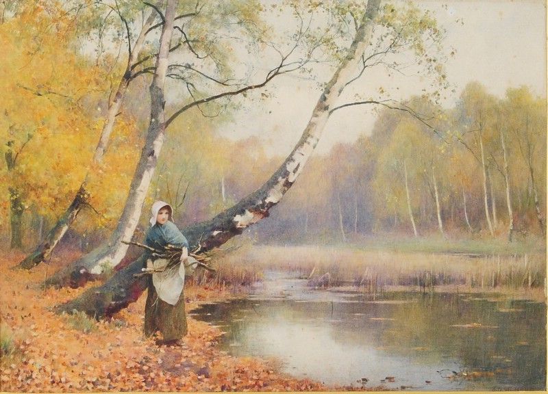 A woodland pool