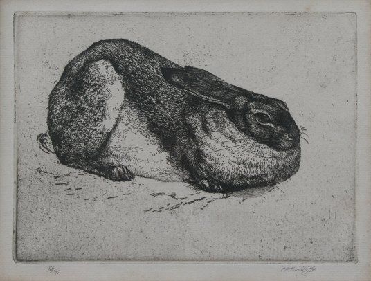 Rabbit