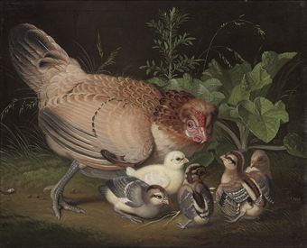A hen and chicks in a landscape