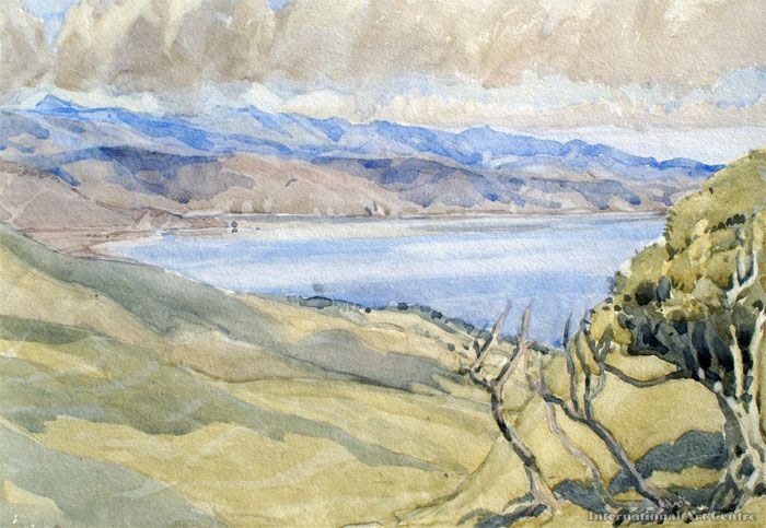 Wellington Harbour from Korokoro