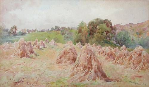 Cornfield at Spy Hill