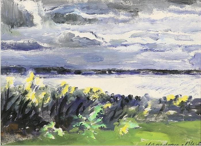 Scenery by the fiord